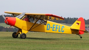 D-EFLC