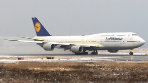 Latest photo by Elias D.