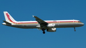 Photo of JY-AYV - Airbus A321-231 operated by Royal Jordanian Airlines
