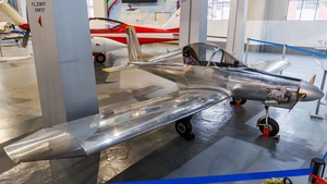 Photo of I-7219 - Hummel Bird