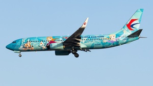 Photo of B-1317 - Boeing 737-89P operated by China Eastern Airlines