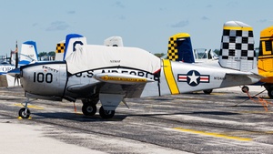 Photo of N134AF - Beechcraft T-34A Mentor operated by Private