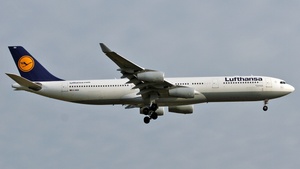 D-AIGU - Airbus A340-313