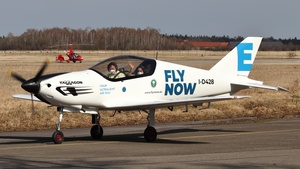 I-D428 - Pelegrin Tarragon