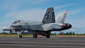 Photo of 188735 - McDonnell Douglas CF-188A Hornet operated by Royal Canadian Air Force