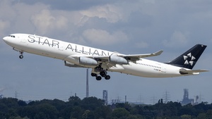 Photo of D-AIGW - Airbus A340-313 operated by Lufthansa