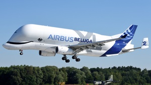 Photo of F-GXLH - Airbus A330-743L Beluga XL operated by Airbus Transport International