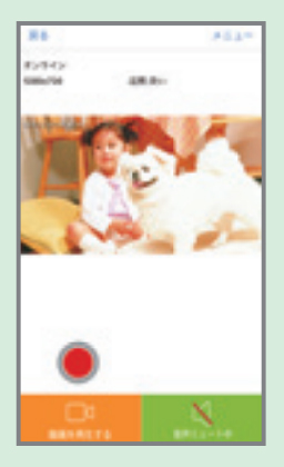 7の画像