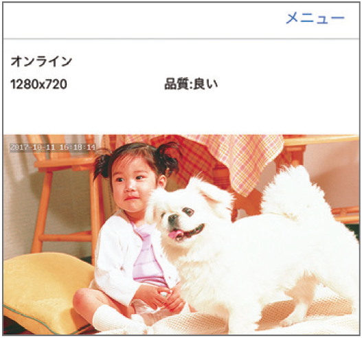 11の画像