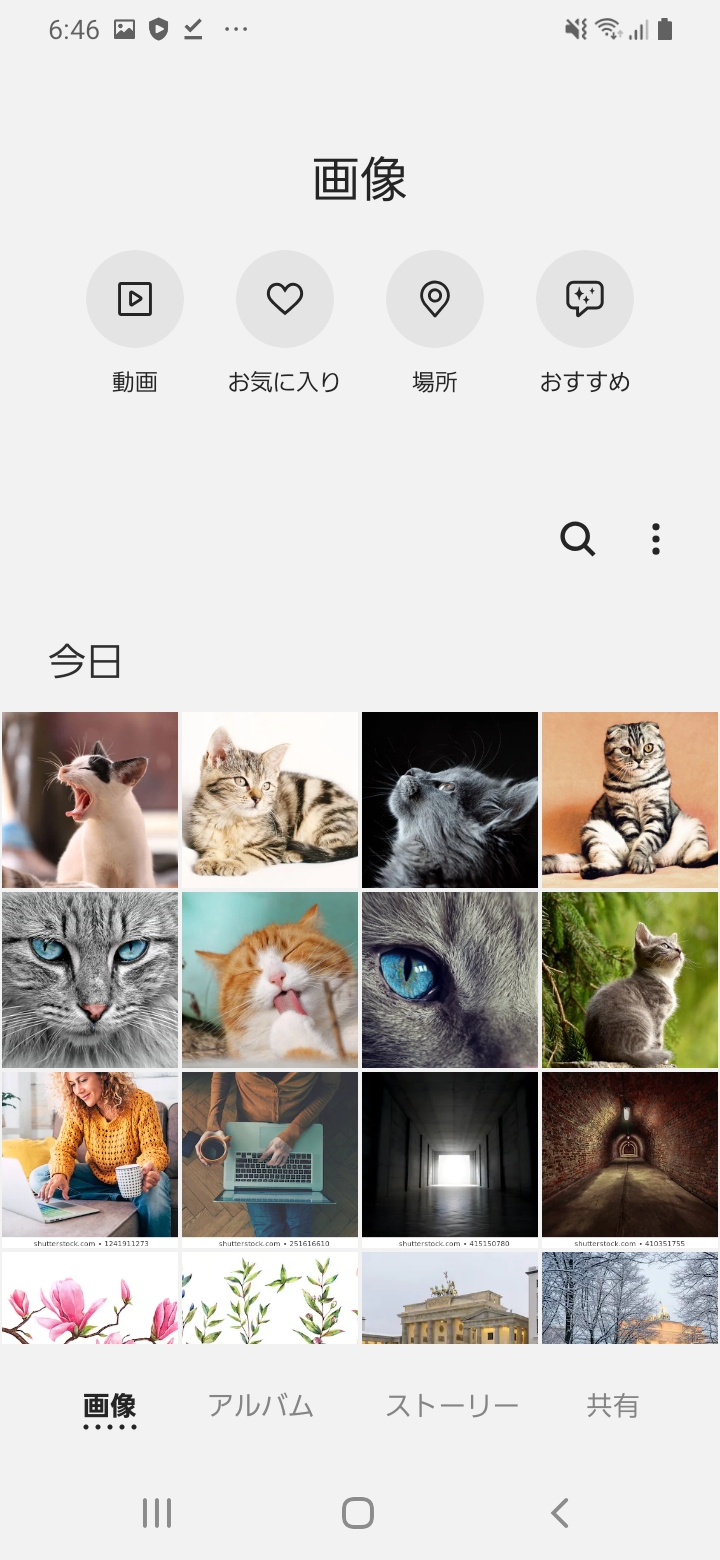 キャプチャ