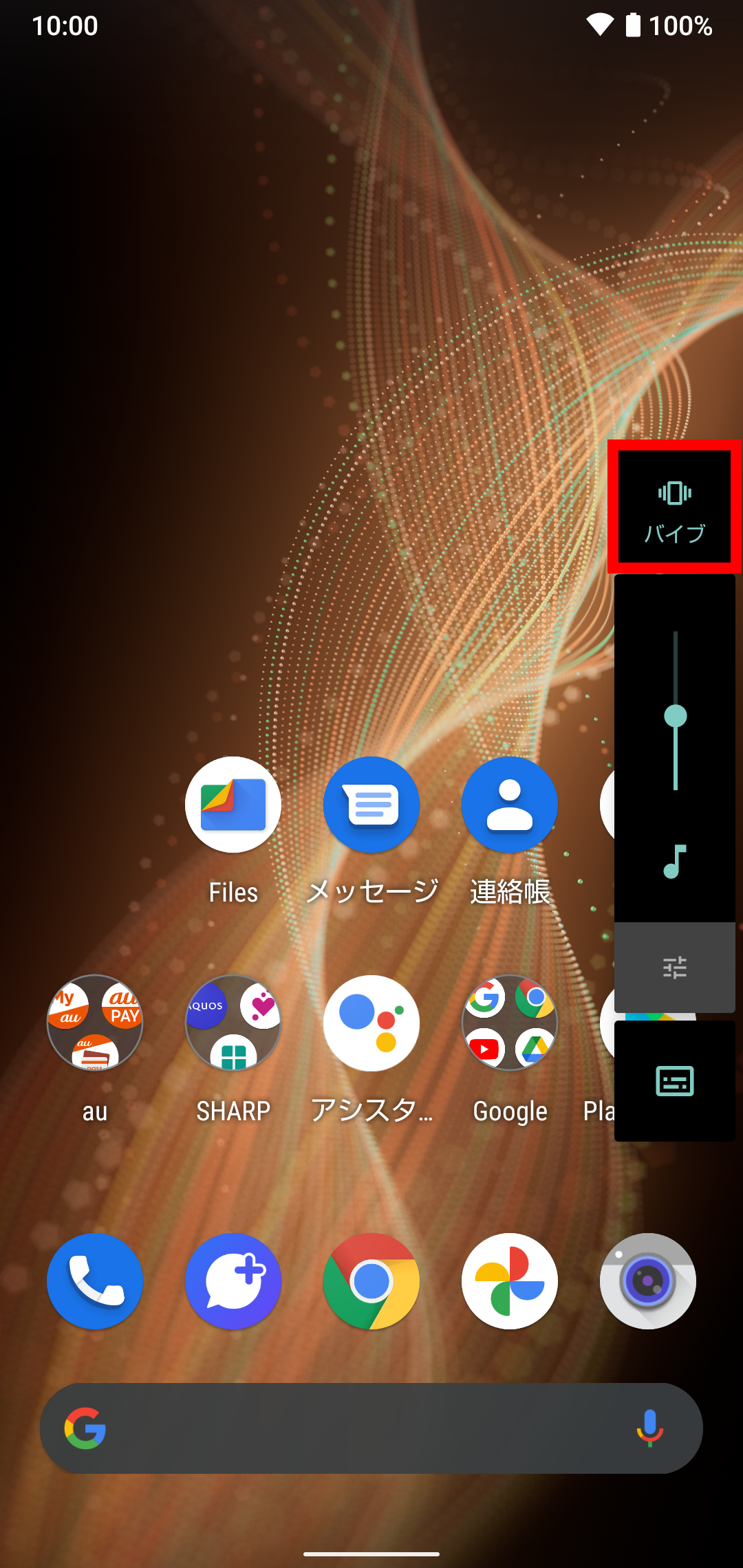 キャプチャ