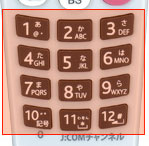 2のリモコン画像