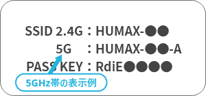 Wi-Fi接続のネットワーク名（SSID）とパスワードの表示例