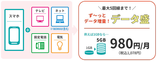 最大5回線まで！ず～っとデータ増量！『データ盛』