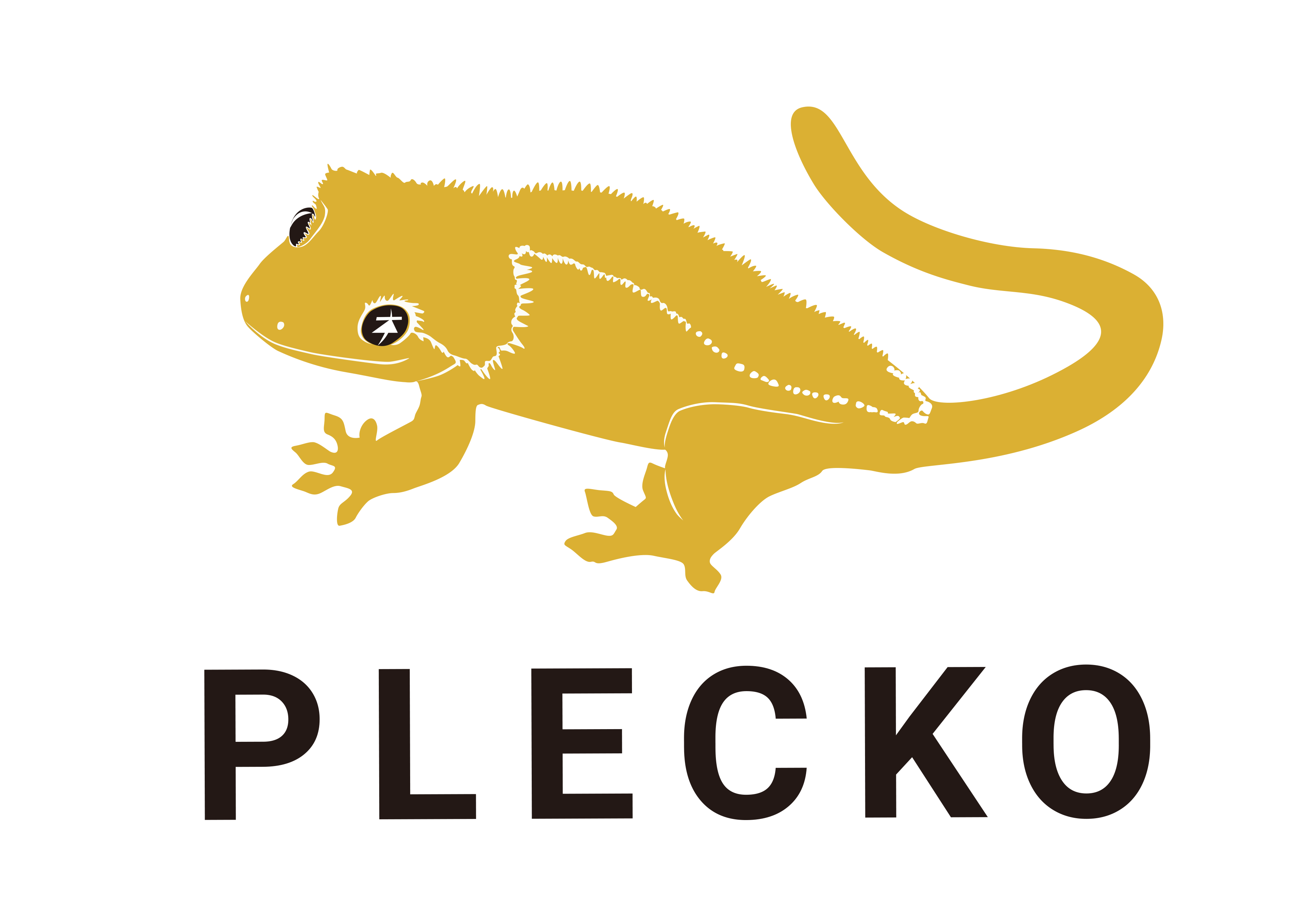 Plecko