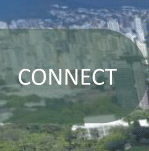 image default