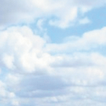 image default