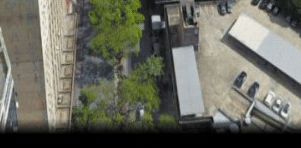 image default