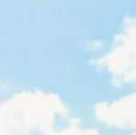 image default