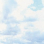 image default