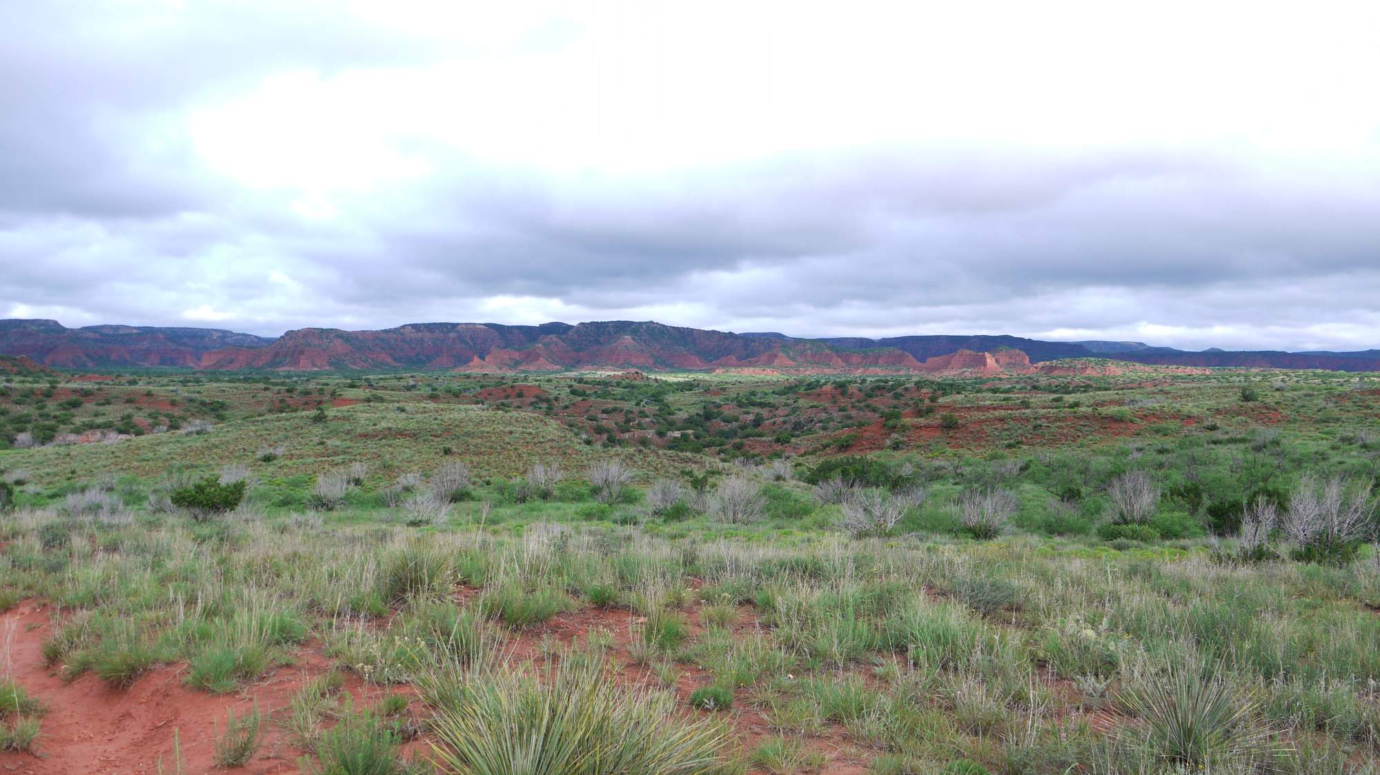 Caprock Canyon State Park Tx 