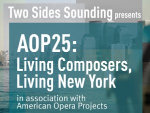 AOP25LORESd3211d8721e5