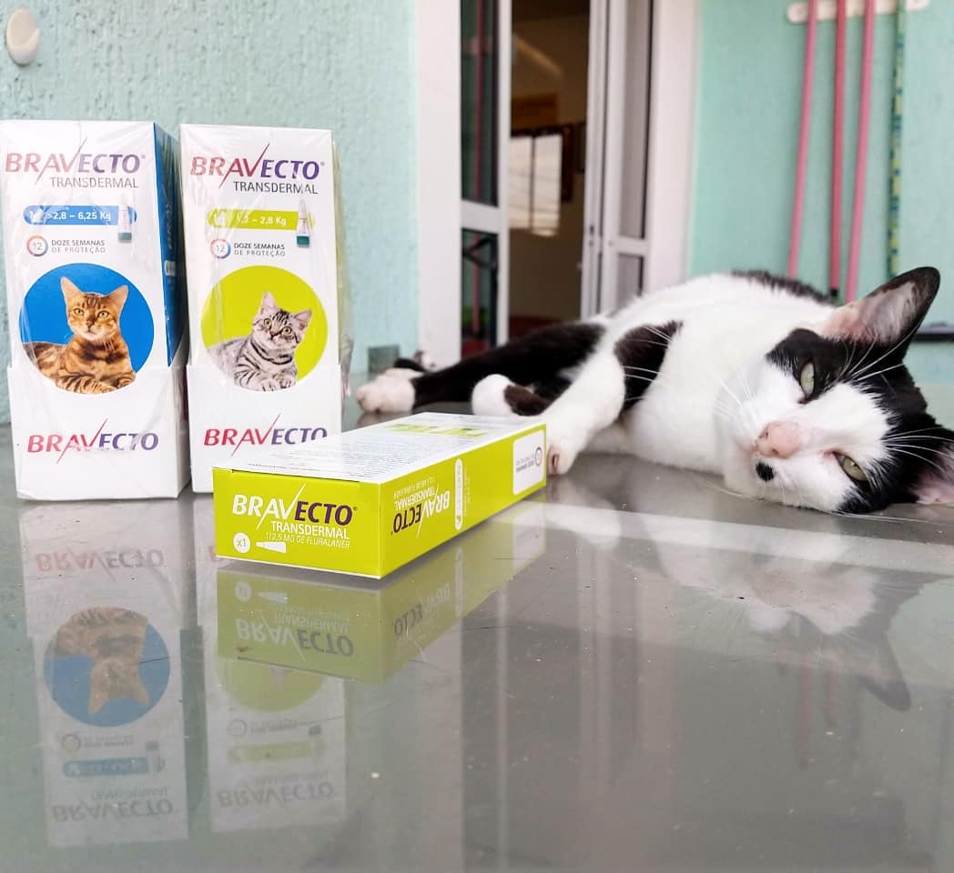 Queremos agradecer a @amparanimal e a @msdfamiliapet pela doação de 260 doses de Bravecto para nossos gatinhos!

Com isso, pudemos encerrar nossa rifa (já fizemos o sorteio dos prêmios!) e nossos gatinhos ficarão ainda mais confortáveis nos próximos meses.

Valeu!

#miadoselatidos #confrariadosmiadoselatidos