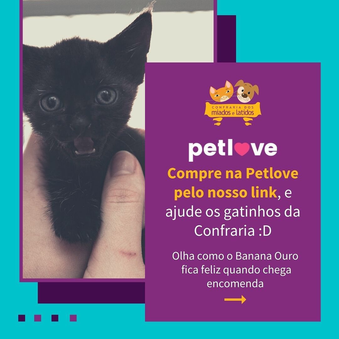 Você sabia que usando o link abaixo pra fazer suas compras, uma porcentagem é destinada para os nossos mais de 150 gatinhos? 😻😻😻

Você compra o que precisa e sem gastar dinheiro a mais, nos ajuda muito! 🥰

Link para compras: http://bit.ly/cmlpetlove 📣

Importante: a cada nova compra, é necessário clicar no link novamente, tá? <3

Banana Prata e Banana Ouro ficam super entusiasmados quando chegam as encomendas da Petlove, e pede para que todos continuem a colaborar para que ele receba seus amados xaxês! 🍽😼

E o seu pet, também ama uma sacola recheada de comidinhas? São do tipo comportado: espera ser servido ou do tipo ansioso: corre pro prato sem o menor aviso? 😹

Os Bananas agradecem e mandam lambeijos! 😽😽

#petlove #perlovers #gatos #garosfofos #gatoslindos #protecaoanimal #catsofinstagram #gatosdoinstagram #gatosdobrasil