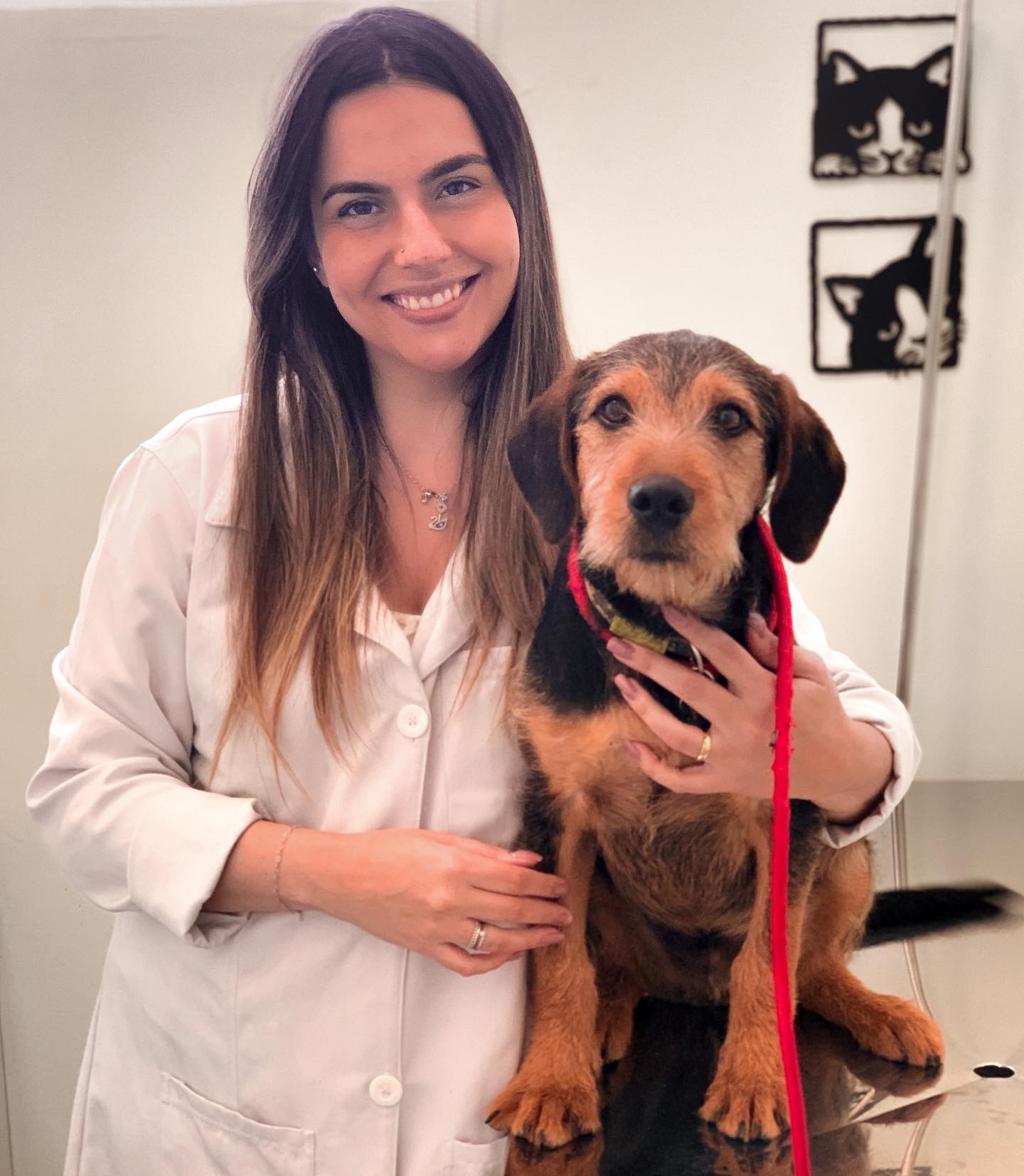 🏥 Hoje foi dia de fazer uma visitinha na Clínica @focinhospetvet com a querida Dra. @marcellamonte ! Não tem nada melhor do que ter uma veterinária que trabalha com tanto amor! O Pumba tomou vacina e fez um check up! ⁣⁣
⁣⁣
🤔 Vocês sabiam que o ideal é fazer no mínimo um check up por ano? ⁣⁣
⁣⁣
💉 Através dessa avaliação é possível detectar doenças precocemente e iniciar o tratamento antes que o quadro se agrave!⁣⁣
⁣⁣
❤️ Previnir é sempre o melhor remédio! ❤ ⁣⁣
⁣⁣
✔️ Eai, já levou seu pet para um check up??⁣⁣
⁣⁣
⁣⁣
〰️ créditos a Dra. @marcellamonte 〰️⁣⁣
⁣⁣
⁣⁣
#itatiba #viralata #viralatinha #viralataslove #amocachorro #julhovip3 #julhovipccs3 #mafiabigode3 #viralatalovers #amoviralata #petfamily #LMP0707 #LMPCCS0707 #adotei #instalatas #ganguedosvira #julho7tpet ⁣⁣