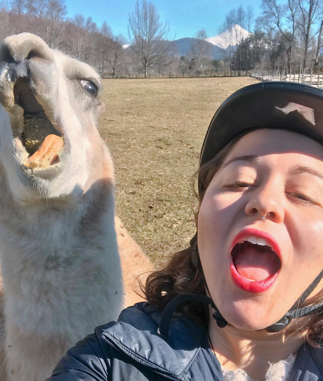 A pedidos de vocês, a melhor selfie do ano no feed! @natgeo me patrocina! Haha essa é a Inti, a lhama mais fofa do mundo que foi criada por uma égua da fazenda. Sabe o que é mais incrível?! A Almendra (égua que cuidou dela) não era mamãe mas como viu que Inti precisava ser amamentada, seu corpo começou a produzir leite e assim a lhama Inti sobreviveu! É ou não um amor essa história? Deus e a natureza são maravilhosos em tudo que fazem 💙 Cada dia mais apaixonada pelo @kodkod.pucon e pelo projeto @almaequinapucon ! Não posso deixar de agradecer a @worldpackers pela oportunidade de experienciar esse tipo de momento! Vocês são demais 💙 Reparem o vulcão Villarrica no fundo da foto 🌋 .
.
.
.
#lhama #llama #alpaca #campo #countryside #natgeo #skyscannerbrasil #worldpackers #pucon #chile #sul #south #winter #selfie #funnyselfie #vsco #lightroom