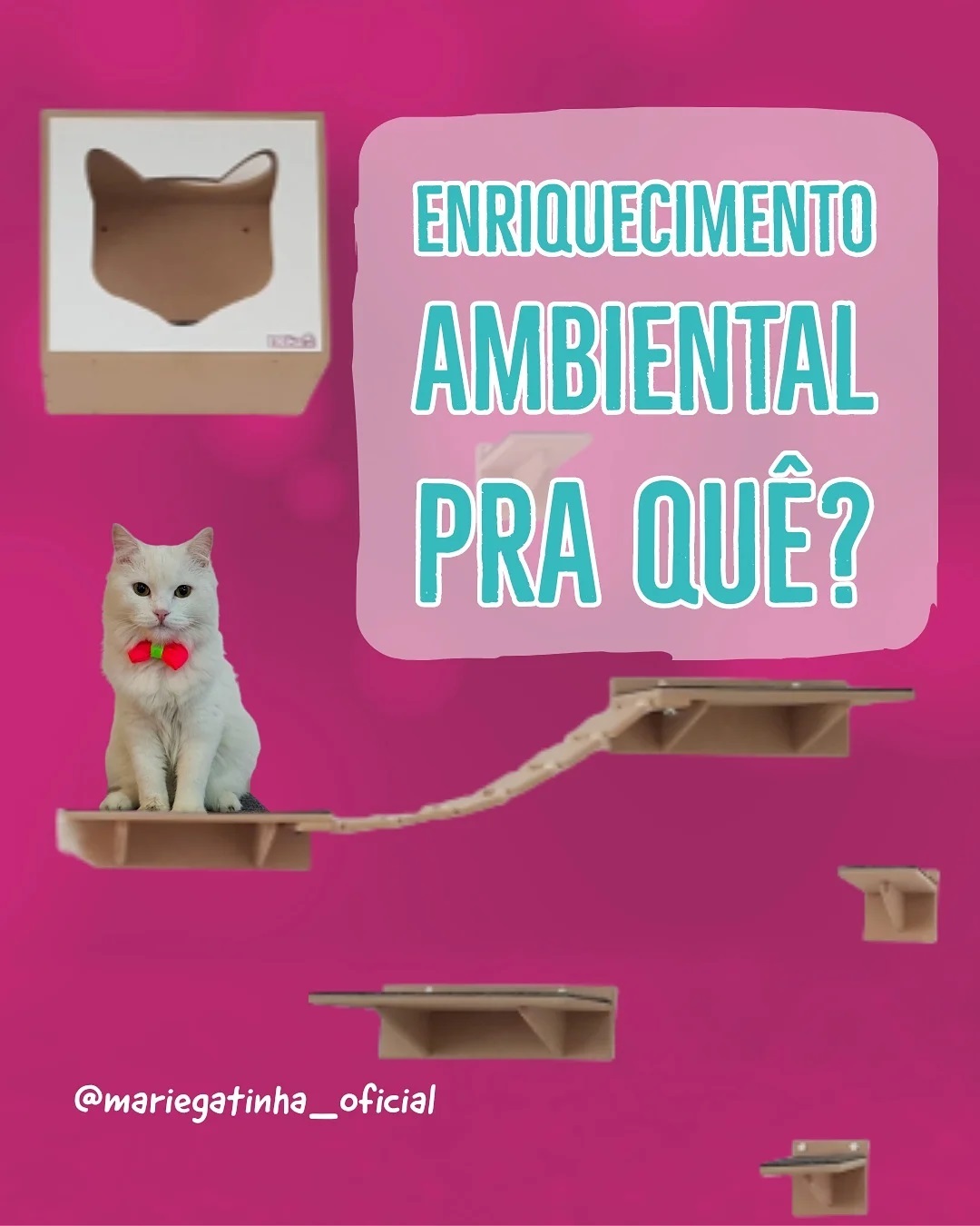 Enriquecimento Ambiental é mesmo necessário? ❓

Se soltarmos um gato num sítio, como as vezes faço com a Marie, (assista ao reels) percebe-se que ele explorará cada pedacinho do lugar - gatos são seres ativos e curiosos por natureza. Ele subirá em árvores e muros, caçará insetos e outros bichos, brincará com folhas, galhos, sairá correndo apenas por diversão,  comerá capim/grama, cheirará tudo que ver pela frente, além de se esconder em lugares que se sentirá seguro e/ou confortável. 🌳🐈‍⬛

Agora me diga, um gato num apto ou casa telada, realiza qual dessas atividades diariamente? 🏠

(Sou totalmente a favor de gatos serem criados indoor e passeios apenas com coleira e sob supervisão). ❗

Esta introdução foi para chamar sua atenção para para importância do ENRIQUECIMENTO AMBIENTAL. - Ele tem por objetivo estimular, distrair, gastar energia, conectar o gato com seu próprio instinto, além de promover atividades PARECIDAS, ou adaptadas,  com as que ele teria se vivesse solto na natureza. - 😼

Um dos enriquecimentos ambientais que Marie mais ama é a GATIFICAÇÃO - que consiste em promover lugares altos para que o gato possa escalar, subir, se proteger e mesmo observar tudo de cima. A gatificação pode ser criada por meio de prateleiras e nichos prontos, como o da Marie que é da @nekocatgatos , ou por prateleiras comuns (o ig @amoraechurros ensina a fazer), ou até mesmo liberando um espaço pro seu gato em cima dos armários e guarda roupas. 😻

Vocês sabiam que gatos são semi arborículas? Ou seja, um dos seus habitats naturais é em cima de árvores. Entendeu agora porque eles sobem em tudo e a importância de promover um ambiente gatificado?🌳

Outros exemplos de enriquecimento ambiental são: caixas de papelão como toca, cama ou túnel, brinquedos interativos, arranhadores e brincadeiras que estimulem a caça. E o mais legal, tem como criar várias coisas com materiais recicláveis, sem gastar muito dinheiro. 🪙  Basta usar sua criatividade - Seu gatinho agradece! 😻

Dúvidas? Deixe aqui nos comentários! ⬇️
Gostou? Salve para que tenha sempre em mãos essas informações. 📩