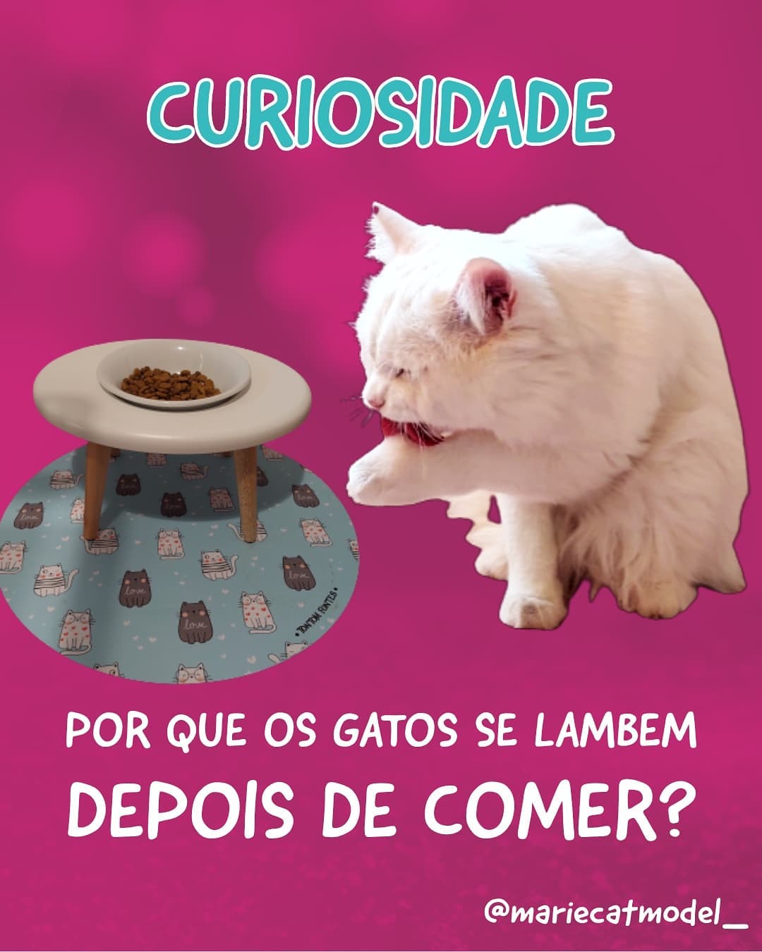 🐱 Nosso mundo felino e nossos instintos são demais, né?

⬇️ Não deixe de me contar aqui nos comentários se você sabia dessa curiosidade.

Ótimo final de semanas, titos e amipets.