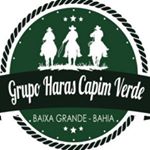 @harascapimverde17