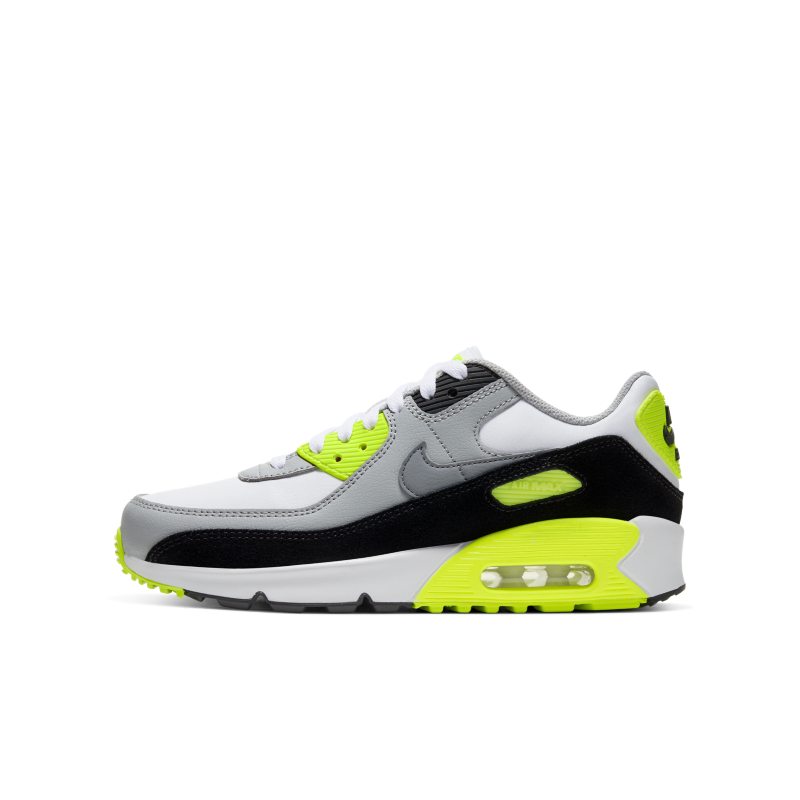 Nike Air Max 90 LTR