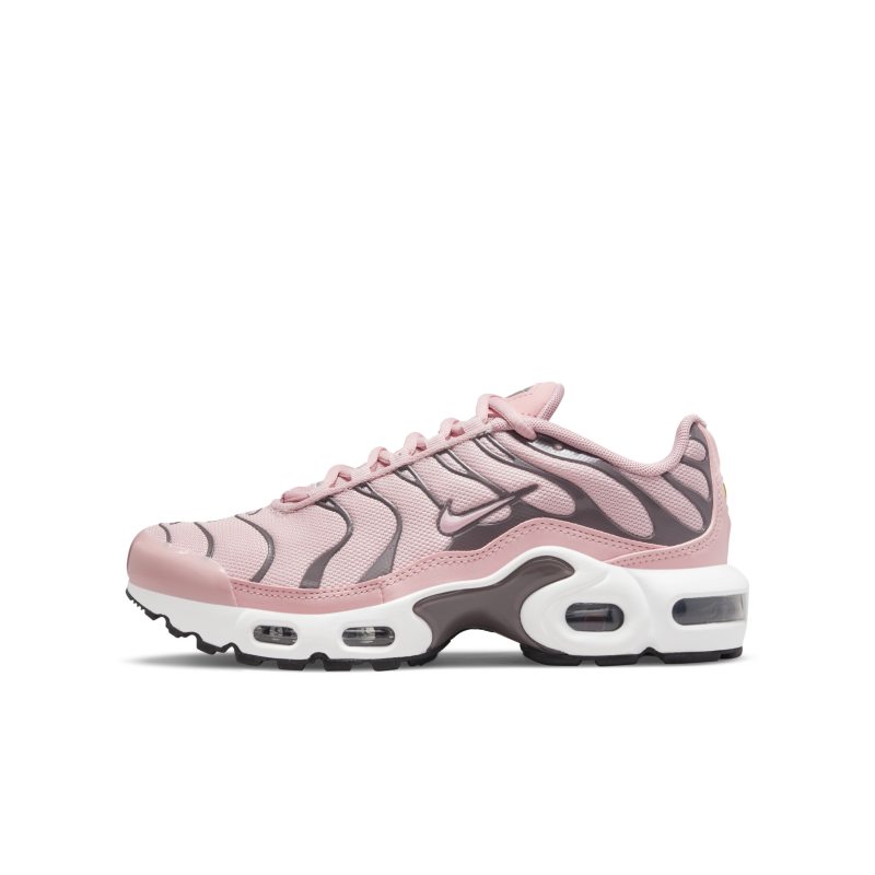 Nike Air Max Plus CD0609-601 01