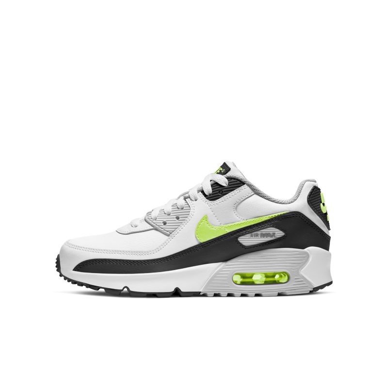 Nike Air Max 90 LTR CD6864-109