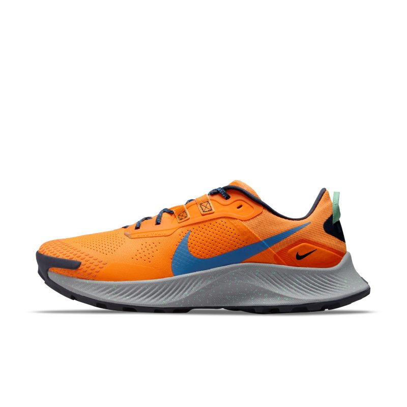 Nike Pegasus Trail 3