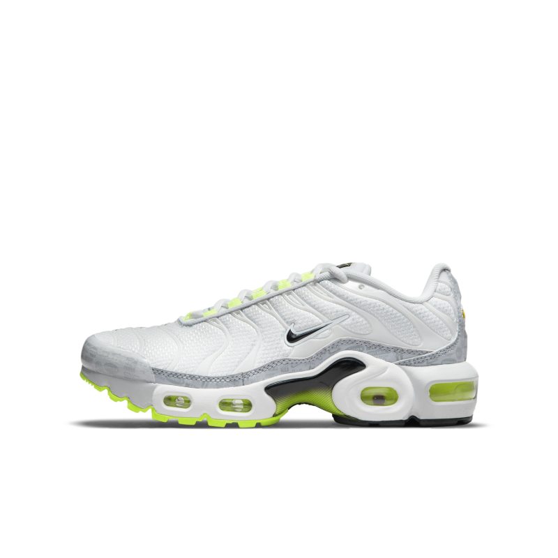 Nike Air Max Plus CD0609-015 01