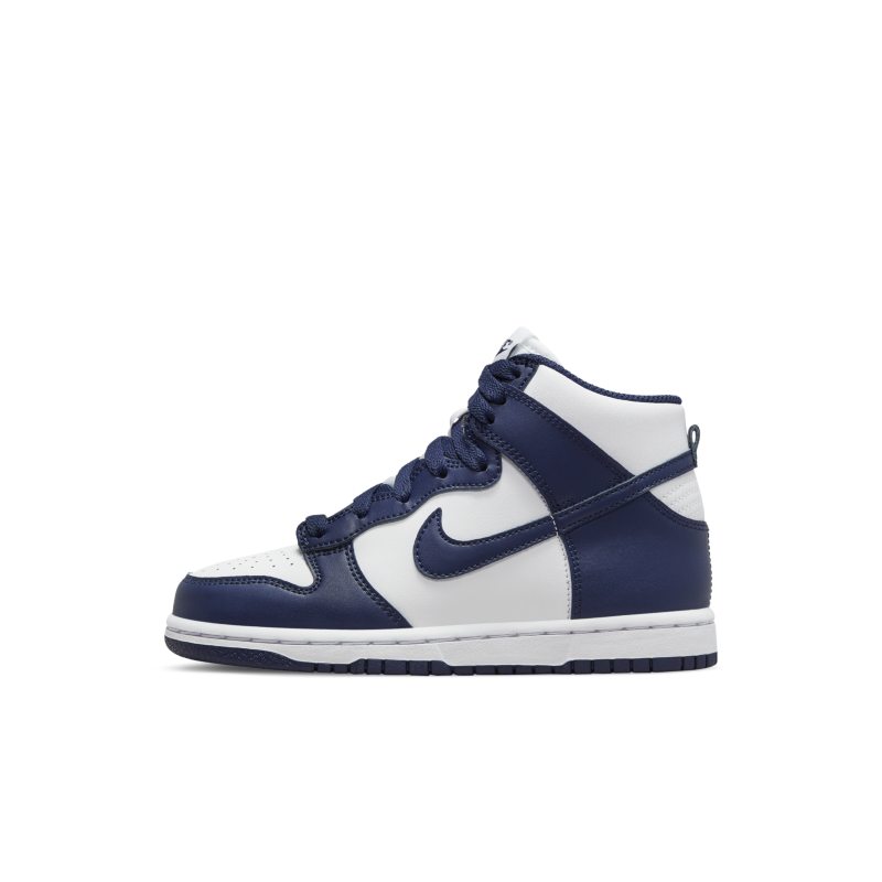Nike Dunk High DD2314-104