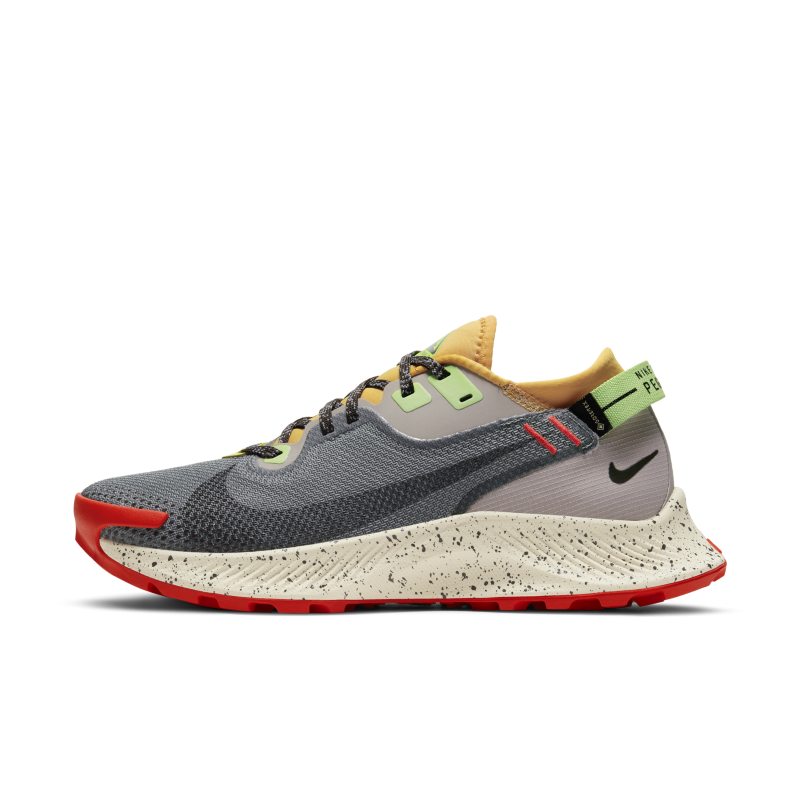 Nike Pegasus Trail 2 GORE-TEX