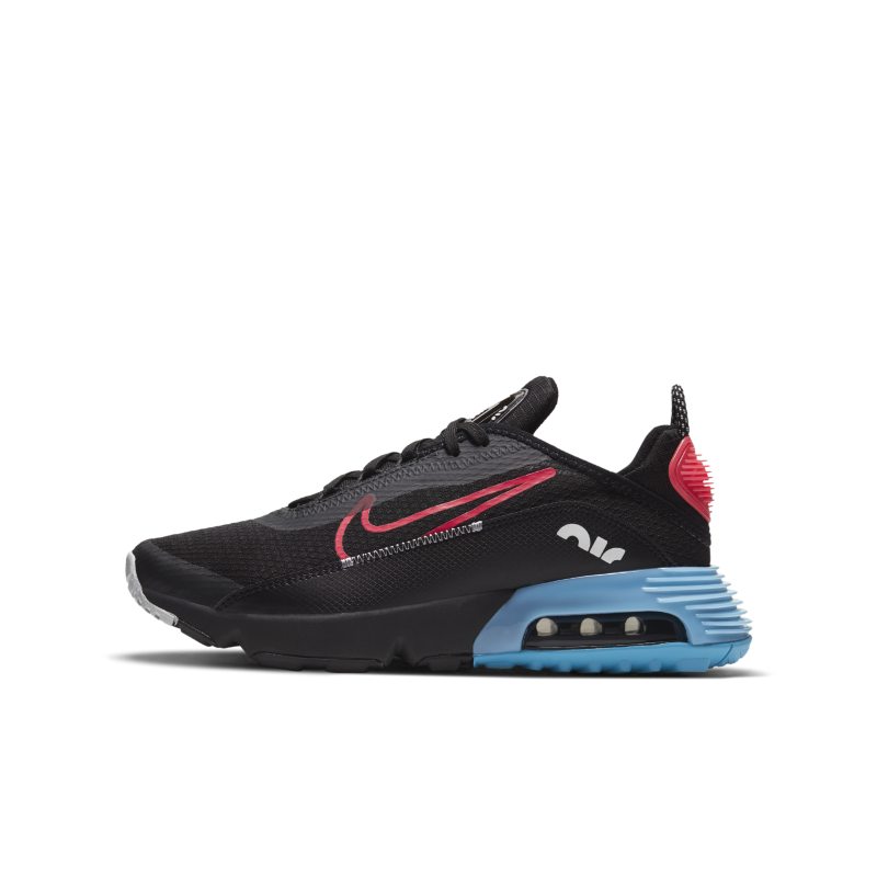 Nike Air Max 2090 DJ4608-001