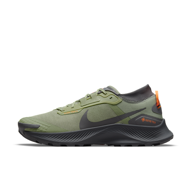 Nike Pegasus Trail 3 GORE-TEX DO6728-300