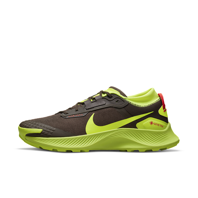 Nike Pegasus Trail 3 GORE-TEX DO6728-200