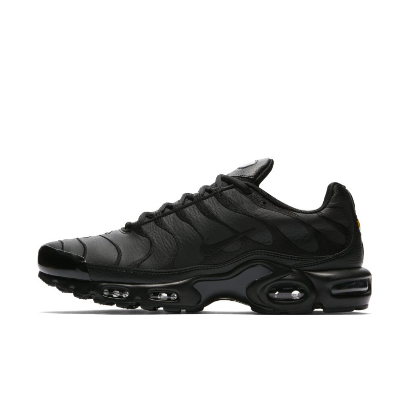 Nike Air Max Plus AJ2029-001 01