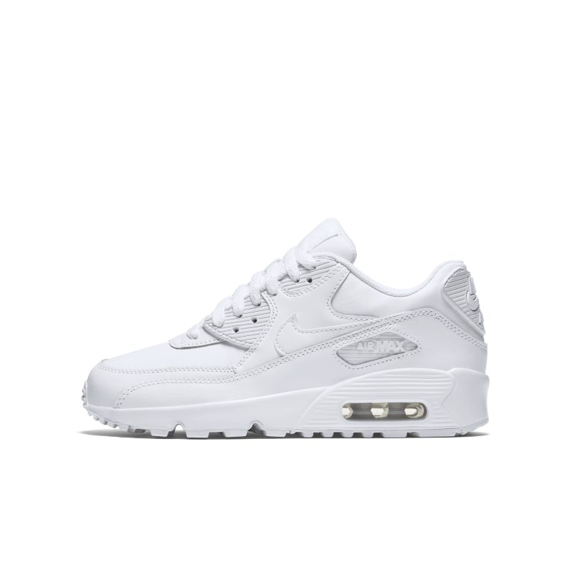 Nike Air Max 90 LTR