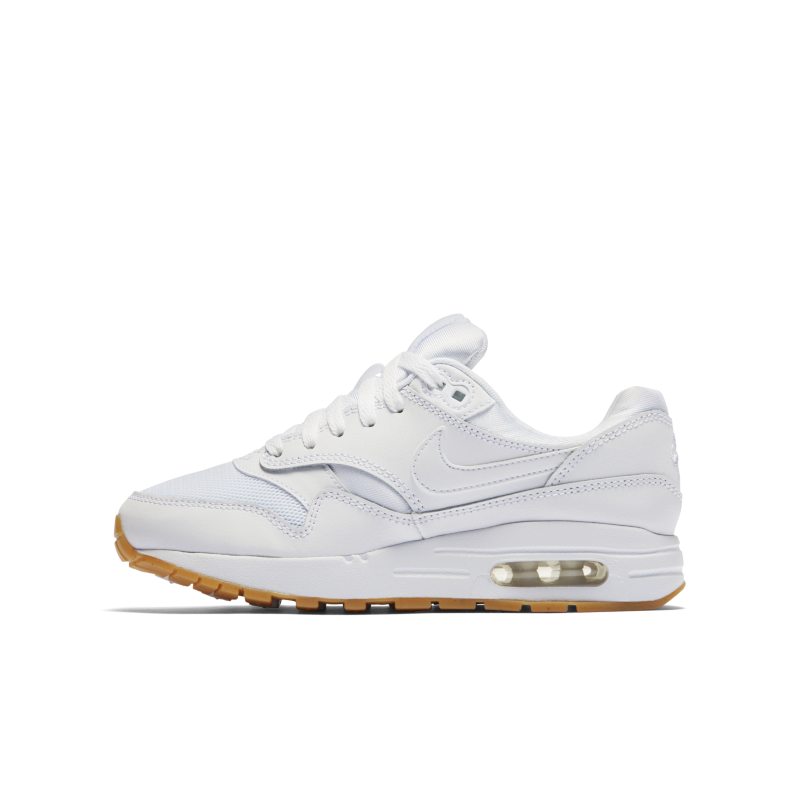 Nike Air Max 1 807602-113