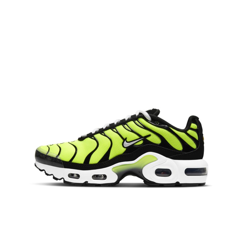 air max plus pro