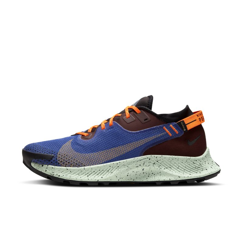 Nike Pegasus Trail 2 GORE-TEX CU2016-600 01