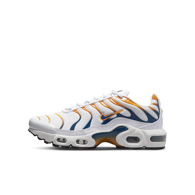 Nike Air Max Plus DV7083-100