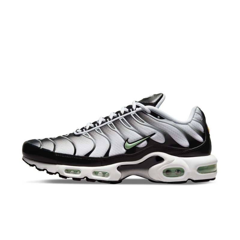 Nike Air Max Plus DH4776-100